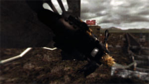 06.jpg